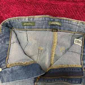 Wild Fable Blue Shorts